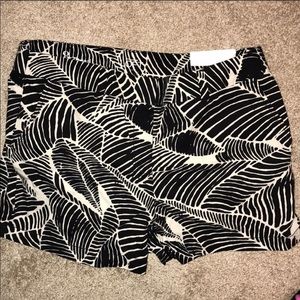 Brand new Ann Taylor loft shorts